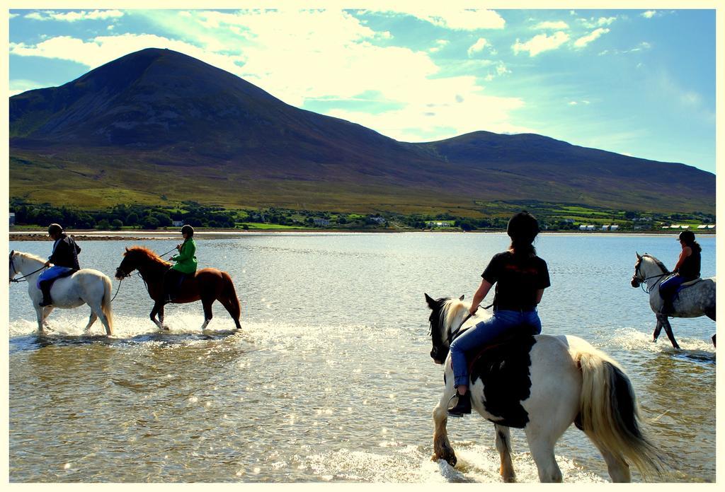 Kilsallagh Cottage 韦斯特波特 外观 照片